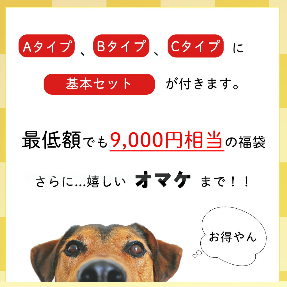 楽天市場】犬 福袋 2026 犬用 おもちゃ 雑貨 ちゅーる シーツ