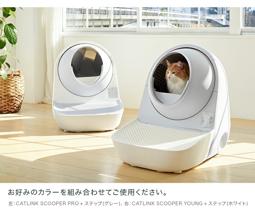 楽天市場】【OFT】CATLINK SCOOPER 専用ステップ(グレー/ホワイト