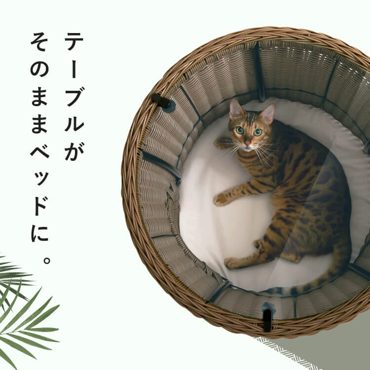 ペットハウス＆テーブル 丸型 大 ブラウン Amazon.co.jp: アイリス