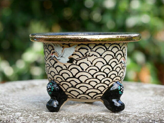 楽天市場】京楽焼 植木鉢 愛楽園製 富貴蘭鉢 「白鶴に四海波」 3.5号