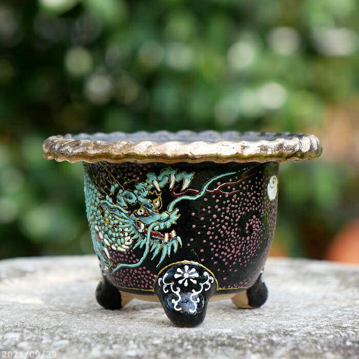 盆栽鉢植木鉢蘭鉢陶芸園芸盆栽