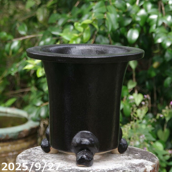 鉢 盆栽鉢 8号」の人気商品一覧 | 安い商品を通販サイトから探す