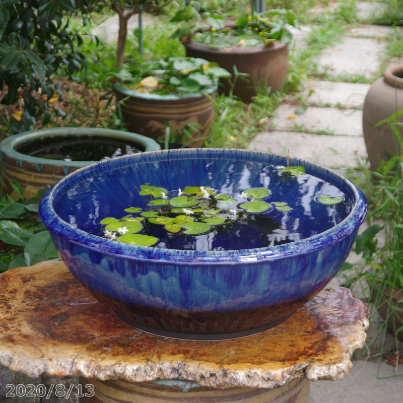 昭和レトロ 火鉢 睡蓮鉢 青 （昭和レトロ 火鉢 睡蓮鉢 メダカ鉢 金魚鉢