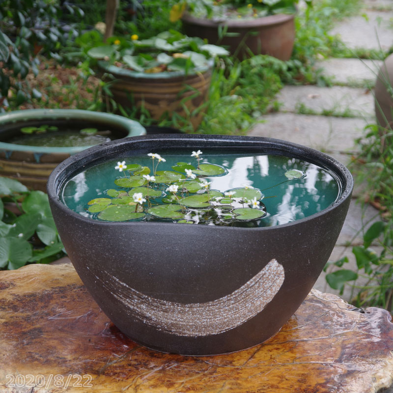 陶器製 水鉢 緑と茶色のグラデーション