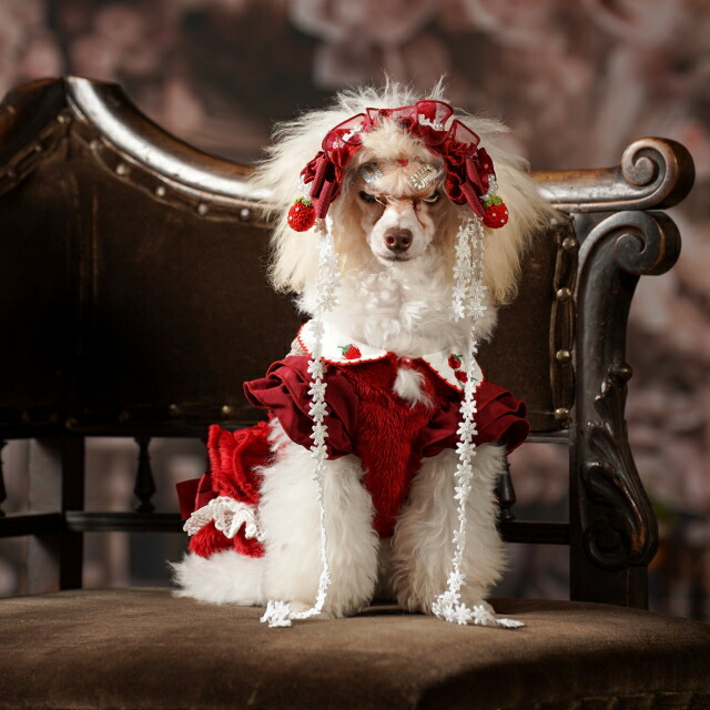 楽天市場】犬服 冬いちごスウィートアップワンピース 秋 冬服 冬ワンピ