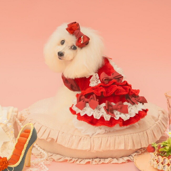 楽天市場】犬服 冬いちごスウィートアップワンピース 秋 冬服 冬ワンピ