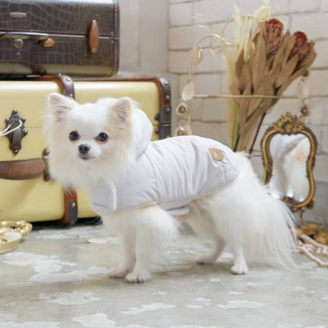 楽天市場】犬服 冬 コート 新作秋冬【きゃんナナ】中綿入りウォーム