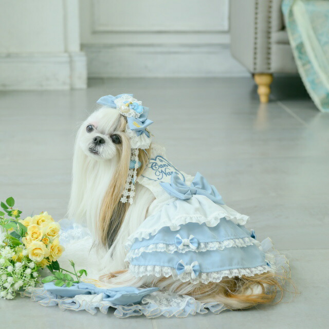 楽天市場】犬服 ワンピース CanNana 【きゃんナナ】アリスエプロン