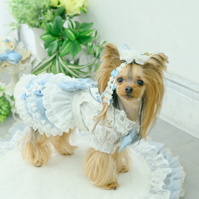 楽天市場】犬服 ワンピース CanNana 【きゃんナナ】アリスエプロン