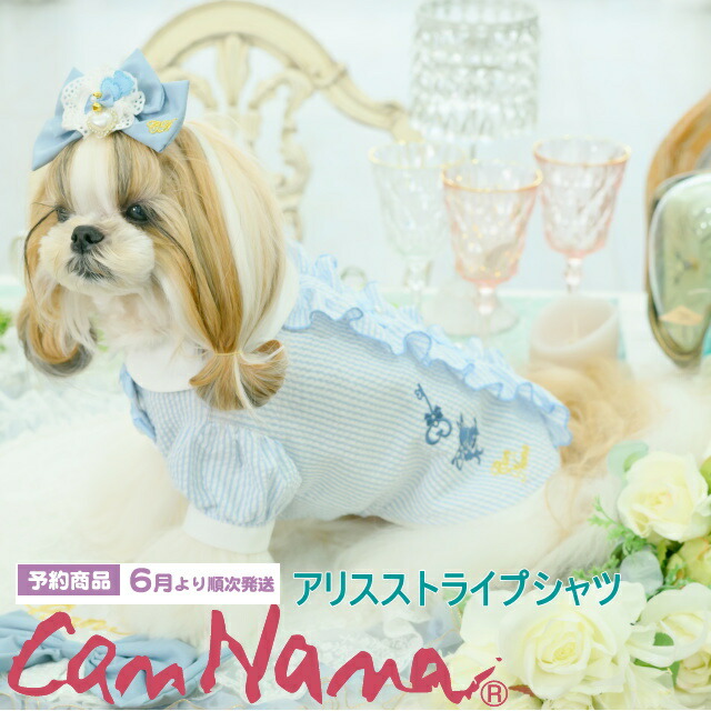 楽天市場】犬服 ワンピース CanNana 【きゃんナナ】アリスストライプ