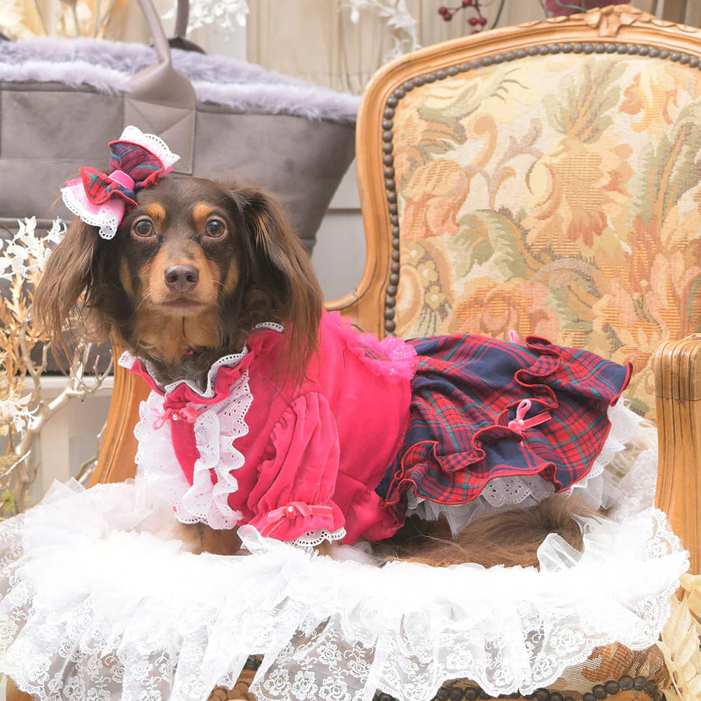 楽天市場】[サイズ:SS/S/M/L] アイナワンピース LUXEBIRDIE リュクス