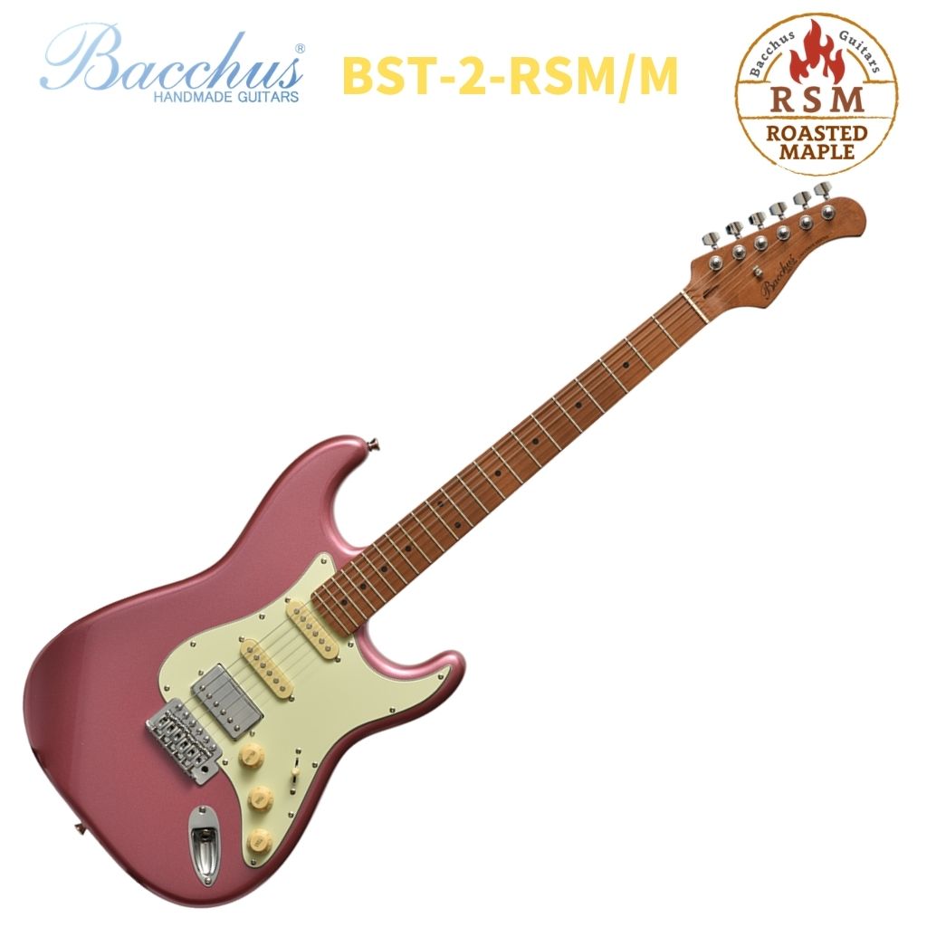 Bacchus BST-2 ストラトキャスター」の人気商品一覧 | 安い商品を通販