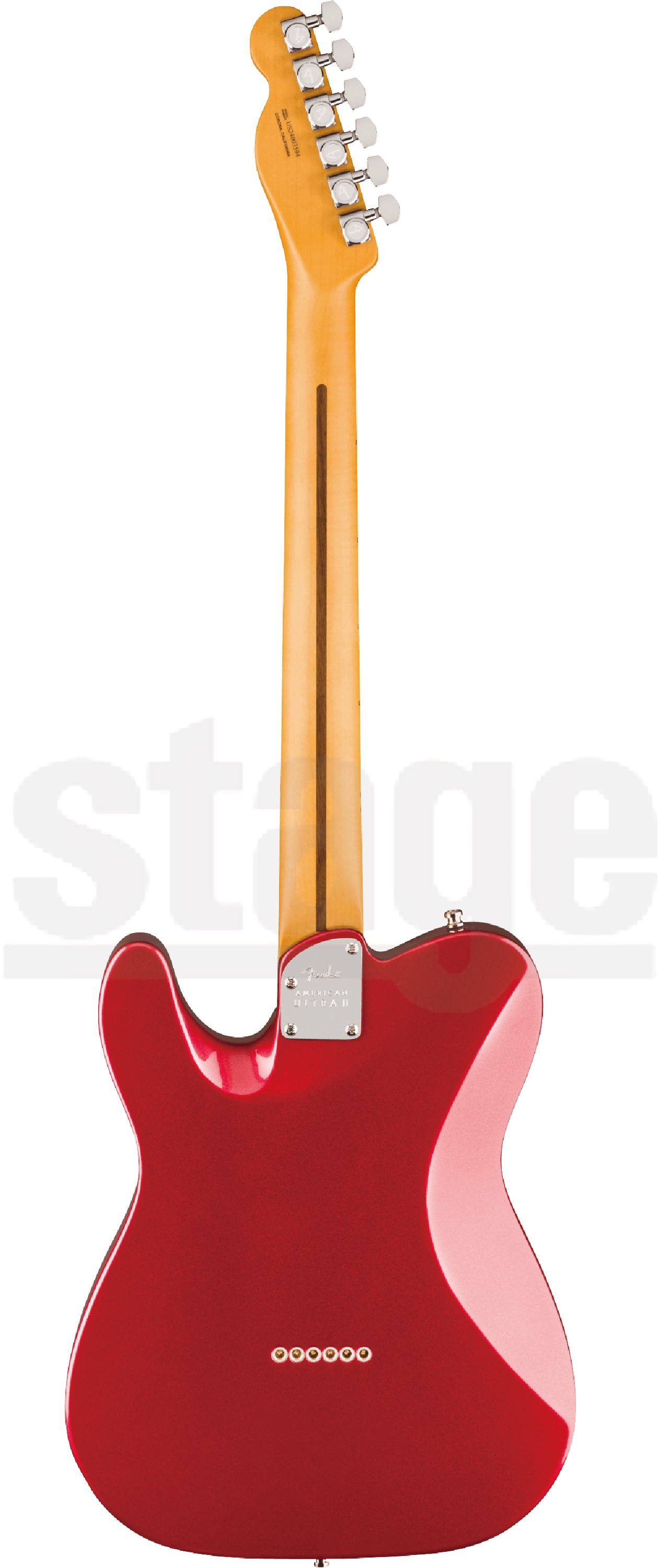 テレキャスターNo71エイジドレリック ダブルバインディングフェスタ