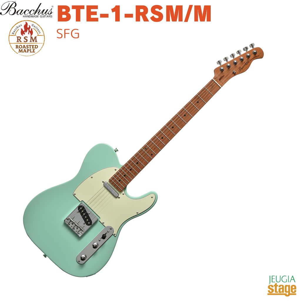 ☆Bacchus エレキギター テレキャスタータイプ メタリックグリーン