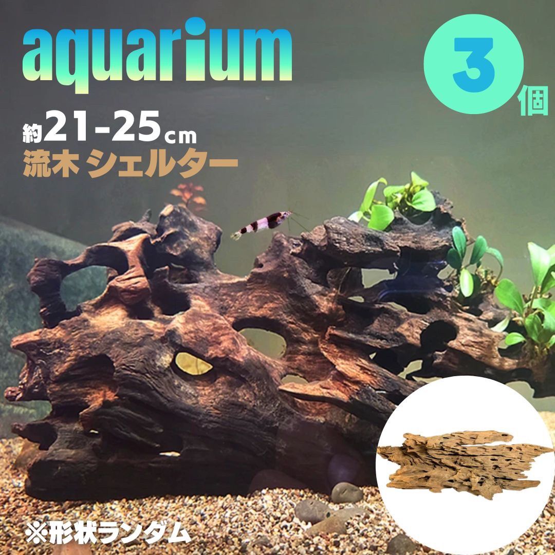 楽天市場】気楽 アクアリウム 流木 穴あき小魚シェルター 3個セット