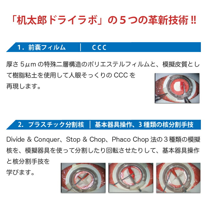楽天市場】机太郎 ドライラボ模型 白内障手術練習用模擬眼 眼科手技