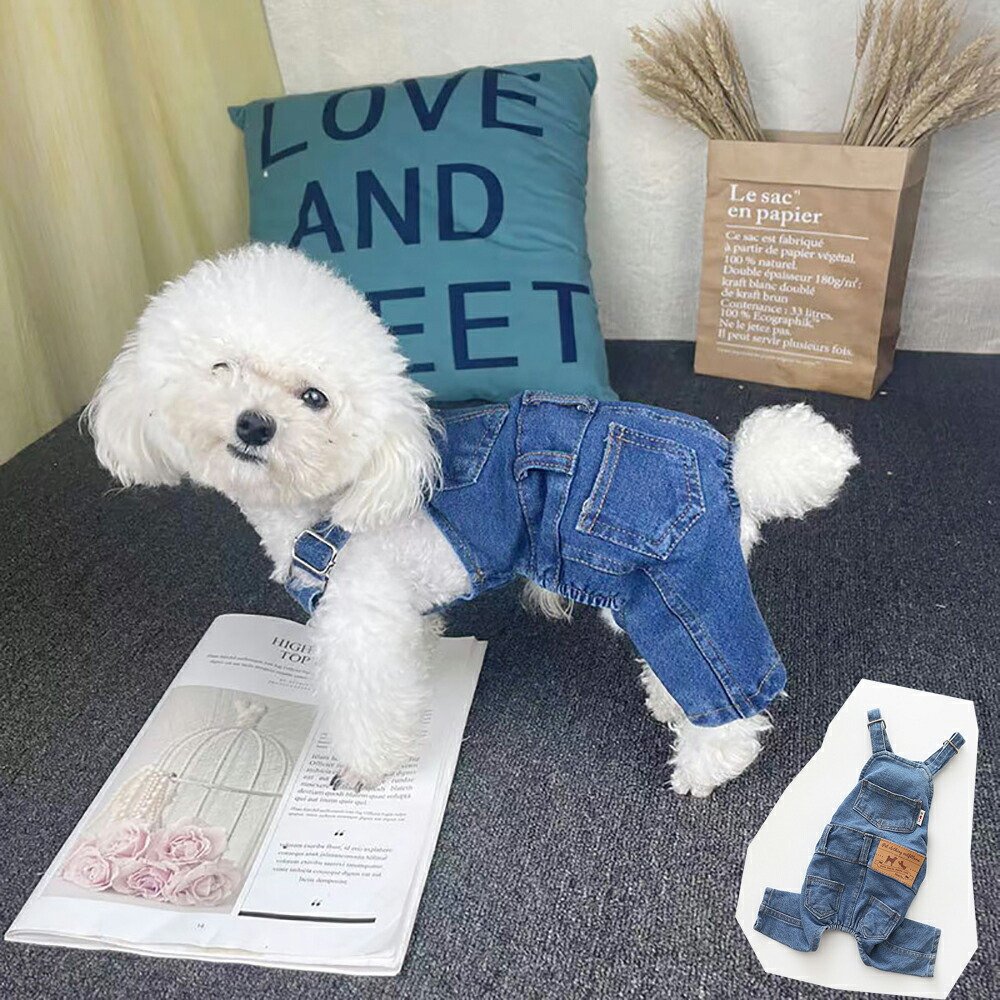 犬服 SS わんこの普段着青いちご