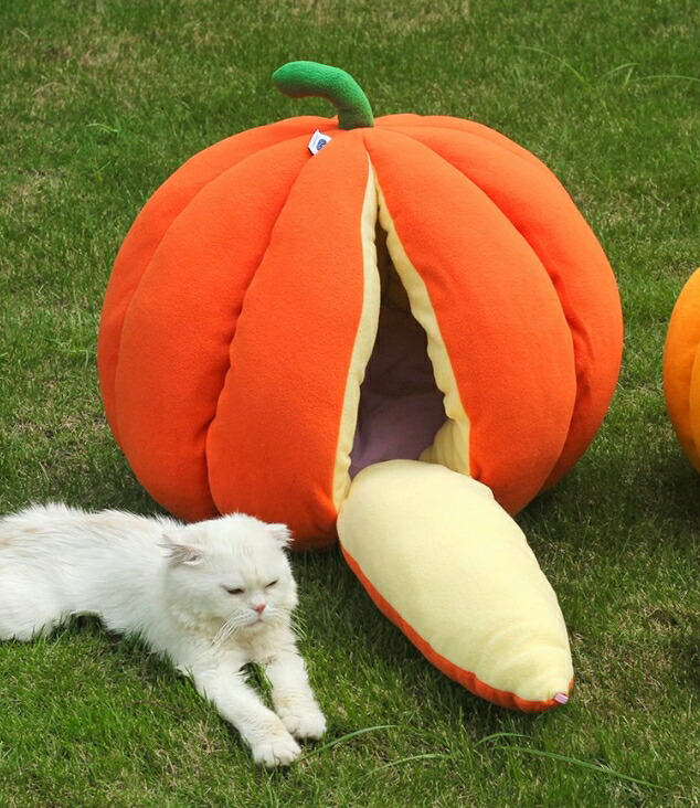 楽天市場】キャットハウス ドックハウス 猫ハウス ドーム型 かぼちゃ
