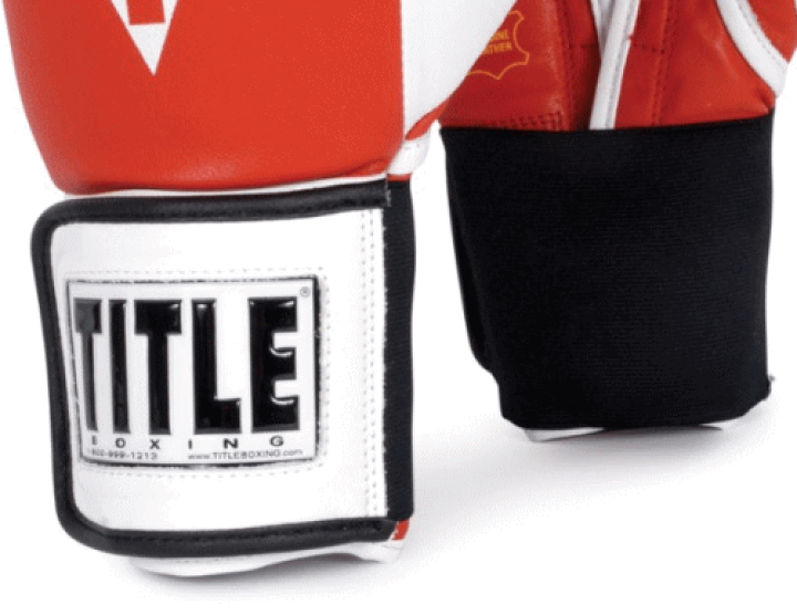 TITLE Platinum ボクシンググローブ ブラック/シルバー 14oz TITLE