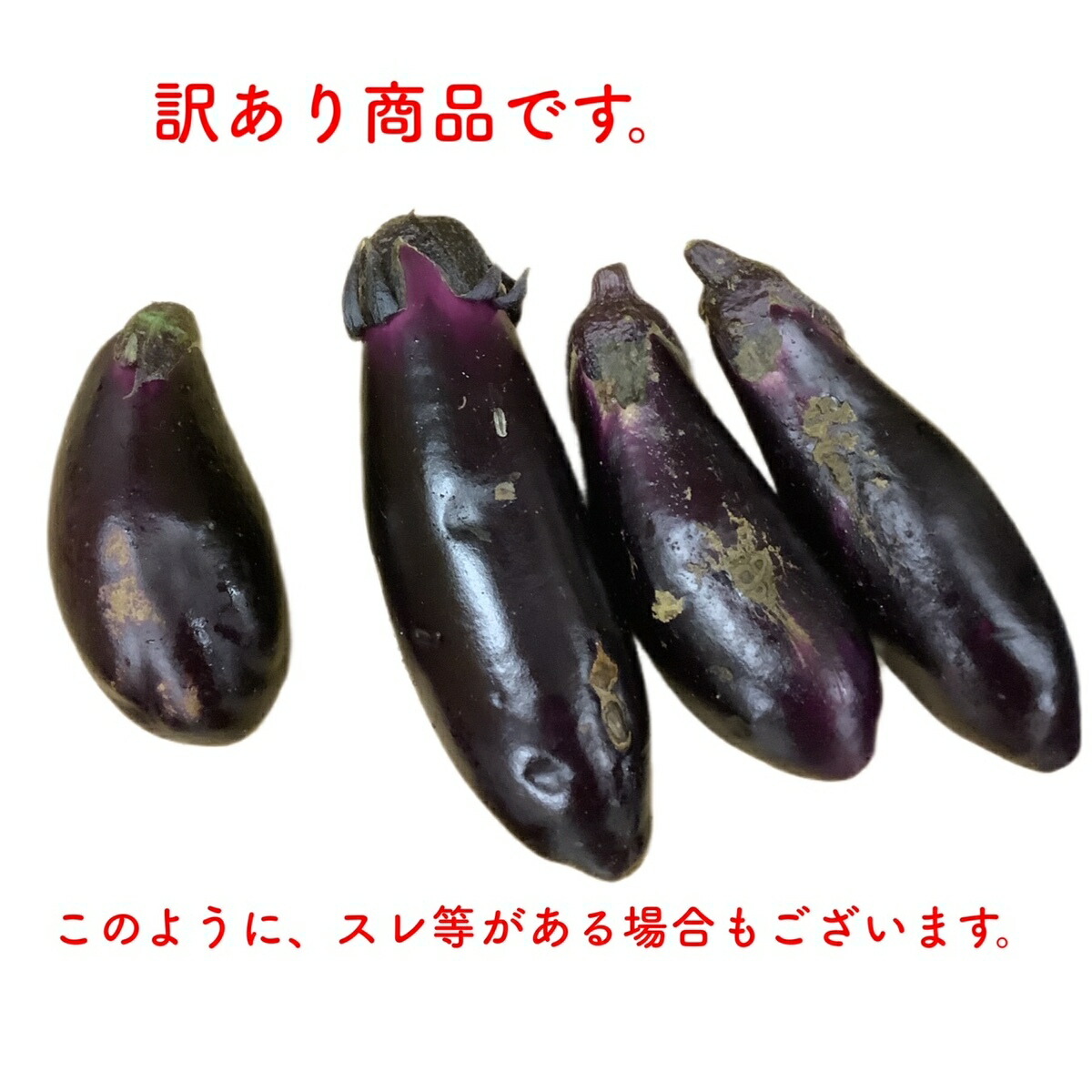 楽天市場】高知県産 なす 茄子 なすび ナス 訳あり 1kg 国産 わけあり