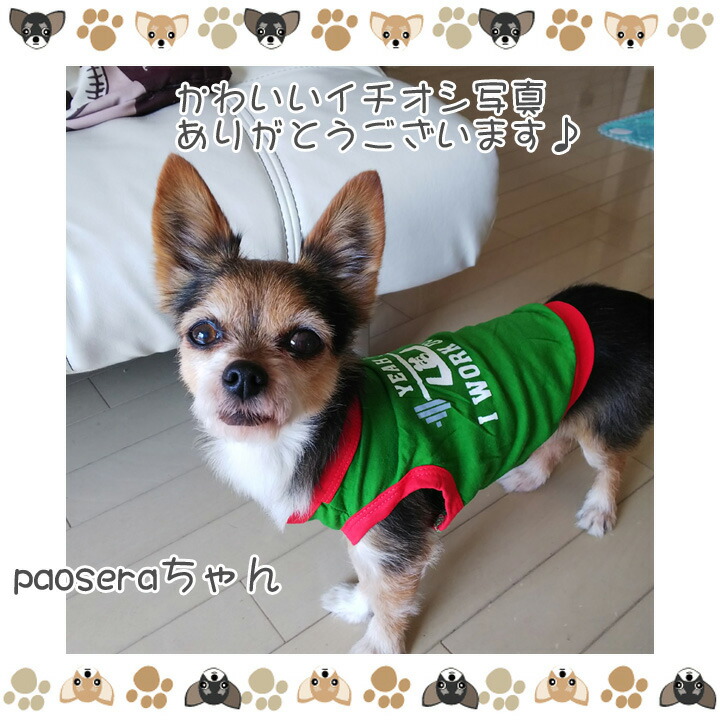 楽天市場】【本日限定☆8%OFFクーポン】【ワンコイン500円】 犬 服 犬