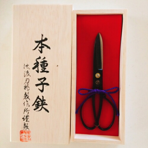 楽天市場】本種 池浪刃物製作所 種子島はさみ5寸木箱入り純手打ち黒