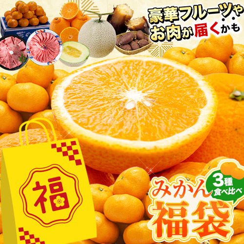 楽天市場】福袋 2026 みかん 福袋 前後 送料無料 高級フルーツ 黒毛