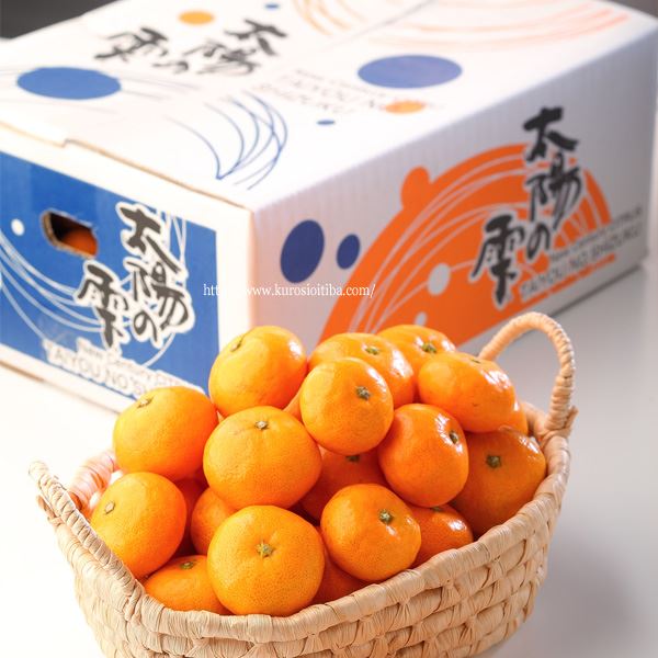 みかん様 ミカン みかんページ ミカン様 ミカン様 蜜柑様 レビュー】ZX