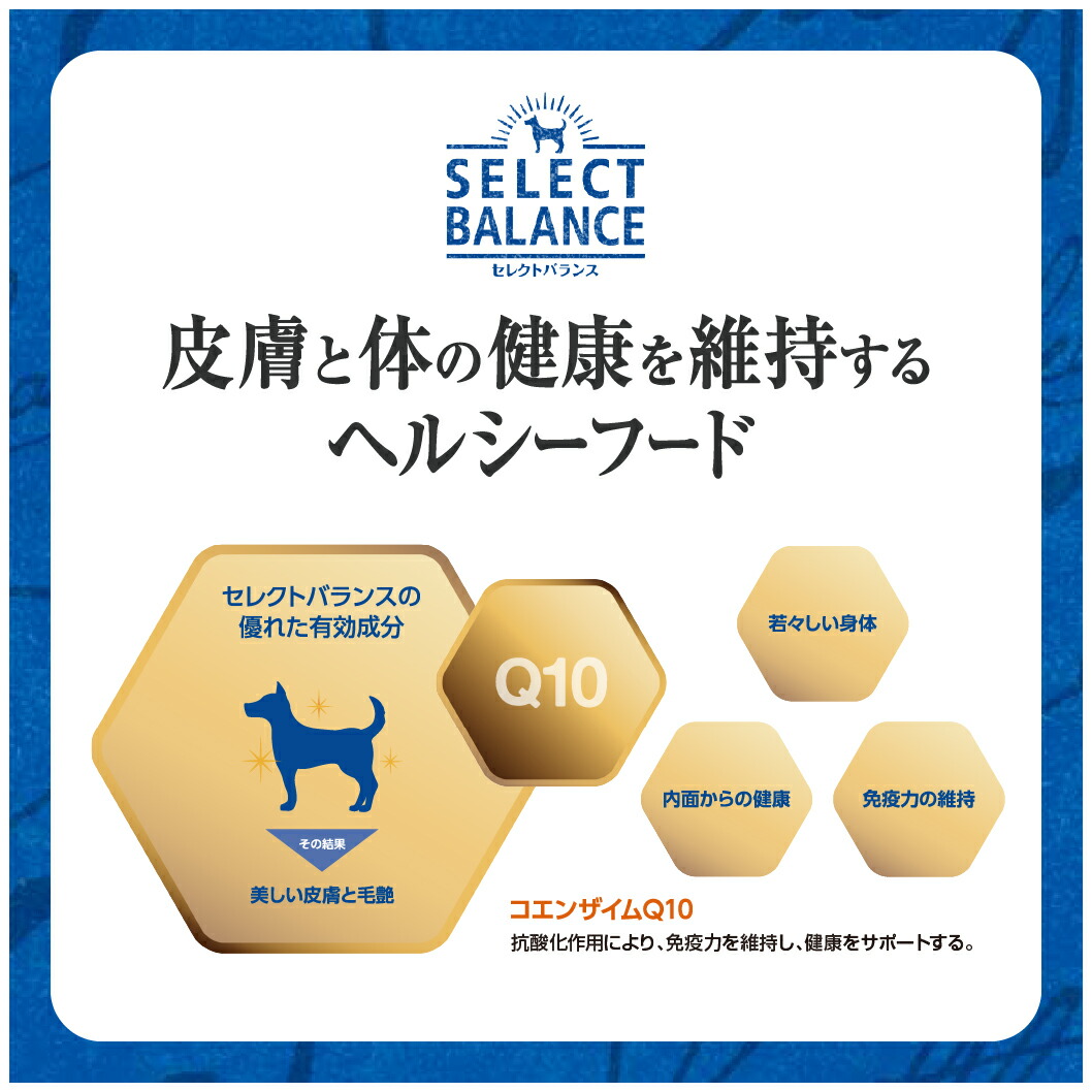 楽天市場】ポイント 全品2倍！2/1限定 セレクトバランス エイジング