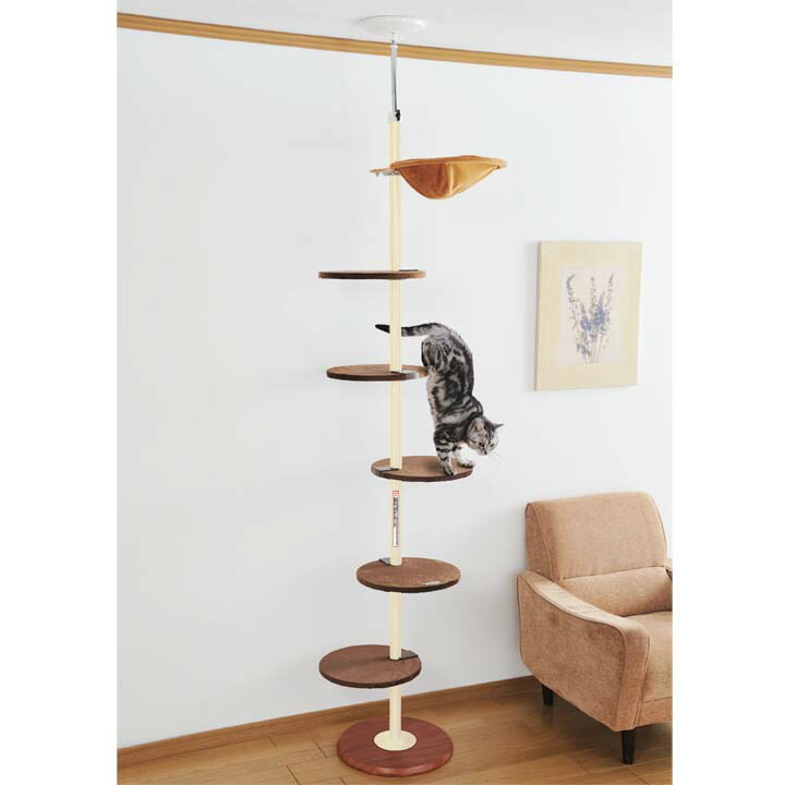 楽天市場】キャットタワー 突っ張り スリム ボンビアルコン おしゃれ