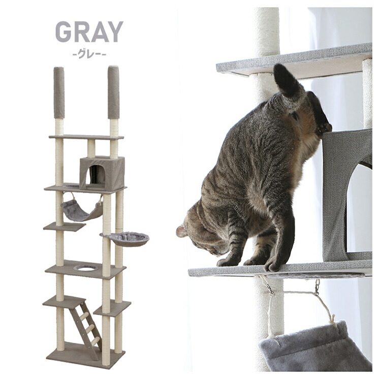 ちぃ 突っ張り型キャットタワー CCCT-4060T 楽天市場】キャットタワー