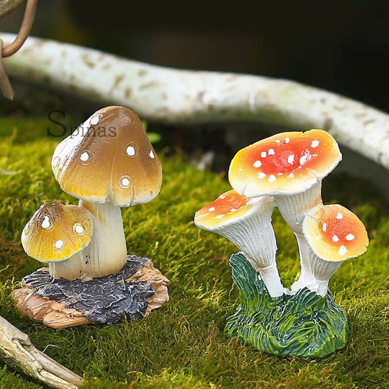 楽天市場】絵本みたいなキノコ2種セット 苔玉 多肉 ミニチュア