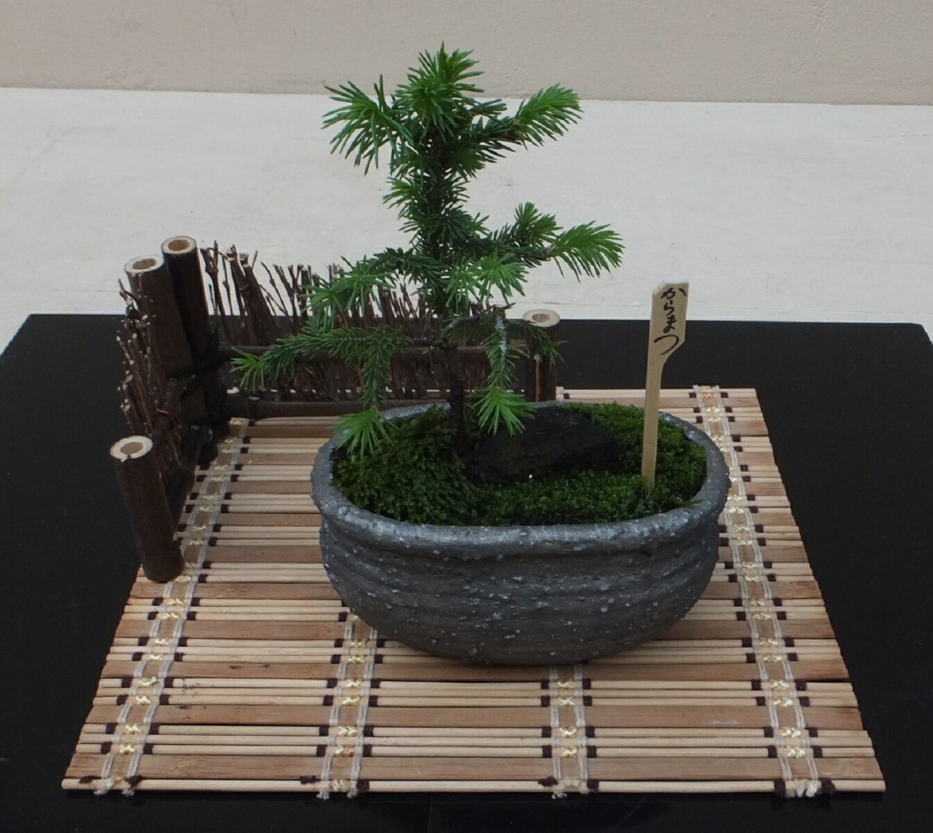 489 盆栽 盆栽鉢 植木鉢 和鉢 不明 489 盆栽 盆栽鉢 植木鉢 和鉢 不明