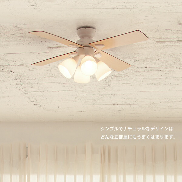 楽天市場】【レビュー特典】 『 シーリングファン Windouble (ウィン