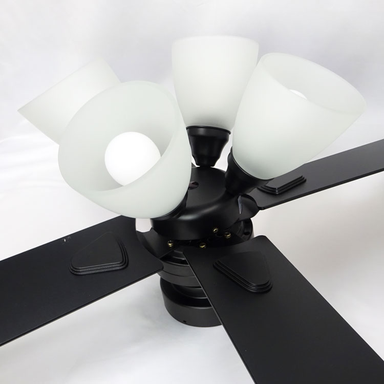 LOWYA シーリングファンライト Lasvolta 4L ブラック ベガ