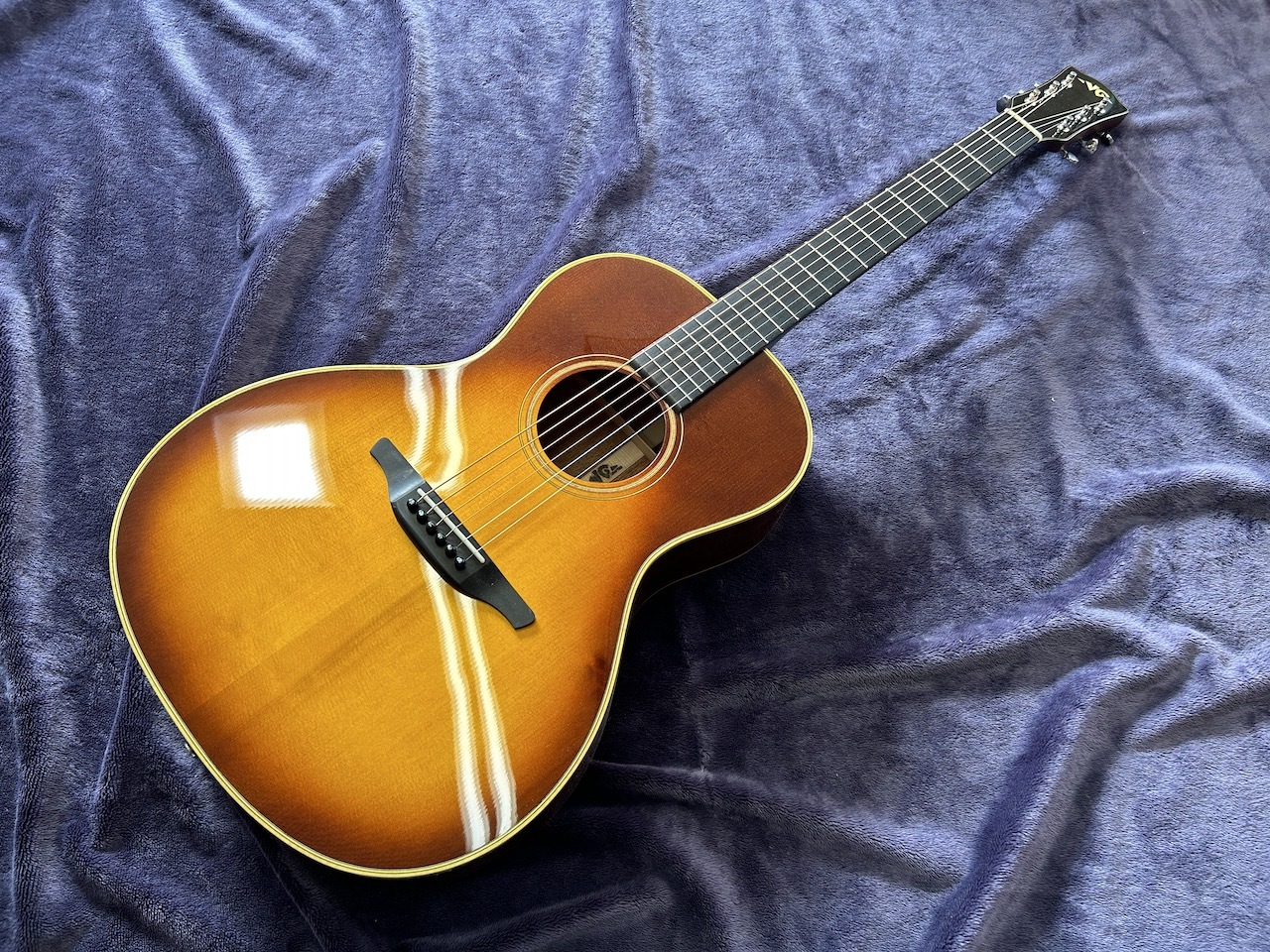 激レア 希少 カールヘフナー 496 アコギ ヴィンテージ 激レア 希少