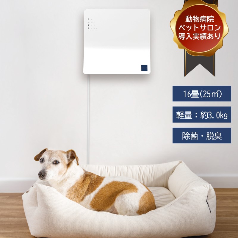 Kaltech KL-WC01 空間除菌脱臭機コルゲート活性炭 2023年製 KL-WC01