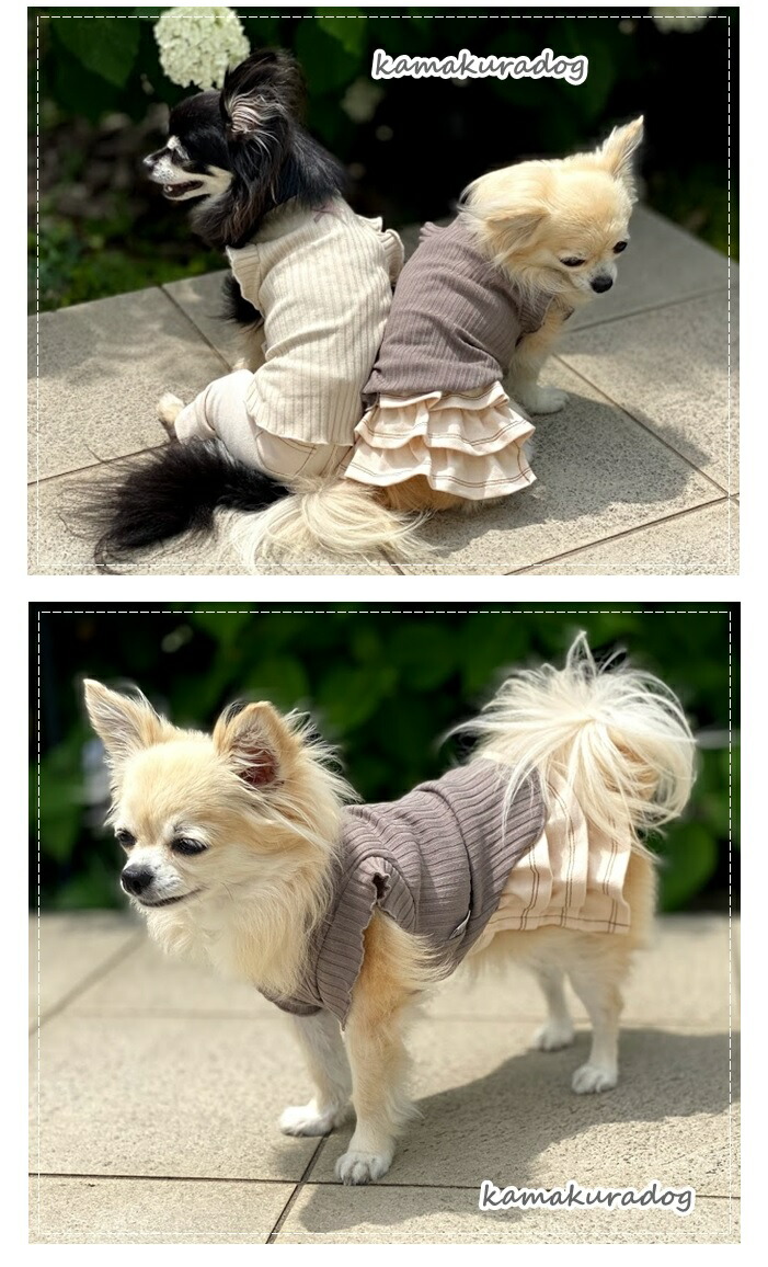 楽天市場】【犬の服】ハルシャツ : 鎌倉DOG2号店