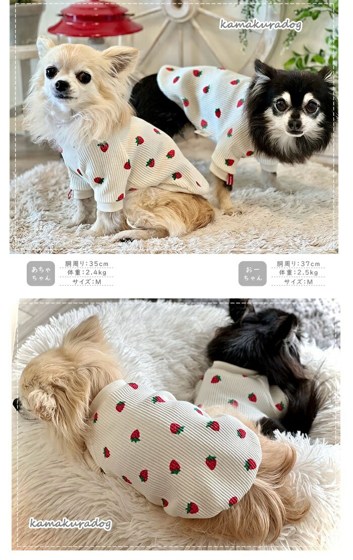 犬服 SS わんこの普段着黄色いさくらんぼ