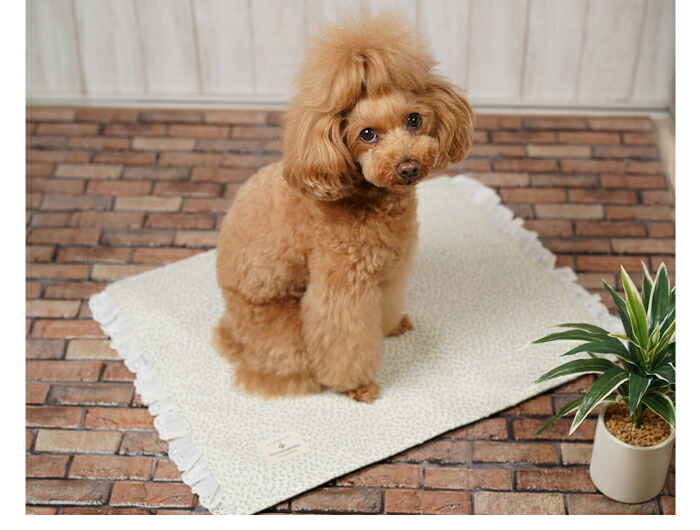 Kiyoo様✨御専用カフェマット（2枚） 楽天市場】カフェマット 犬