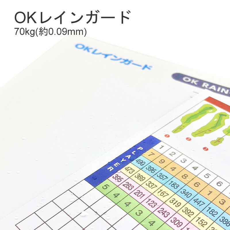 楽天市場】2月最大800円OFFクーポン 【水をはじく紙】OKレインガード