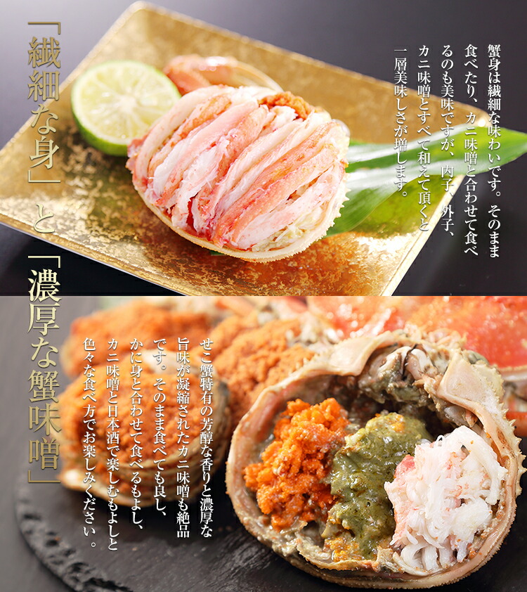 松葉蟹[セコガニ］ゴールドカラーオリジナル全長23センチ立体リアル