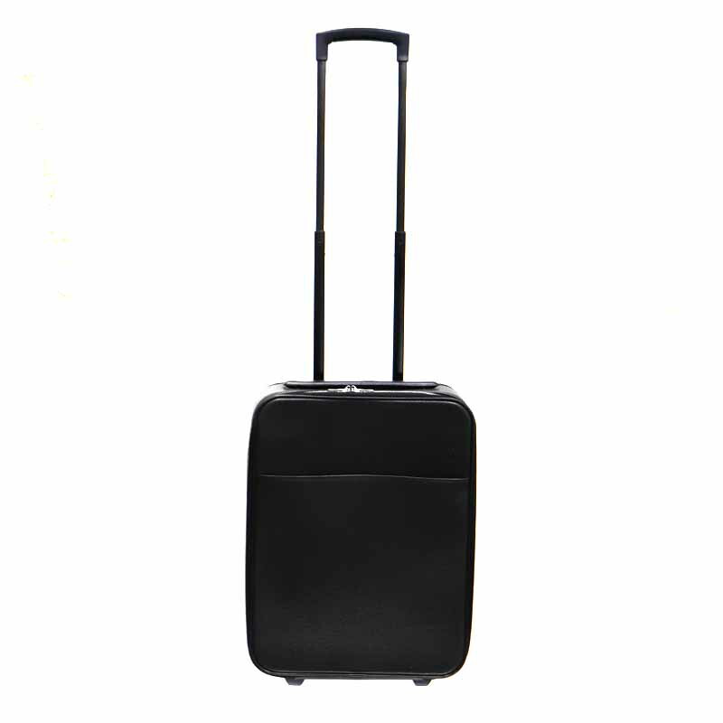 ルイヴィトン タイガ ペガス50 M23272 キャリーケース 機内持ち込み可