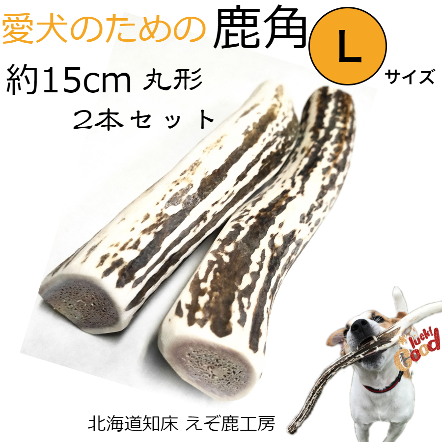 楽天市場】鹿の角 犬 長さ15cm 丸型 Lサイズ 2本セット 長持ち 国産