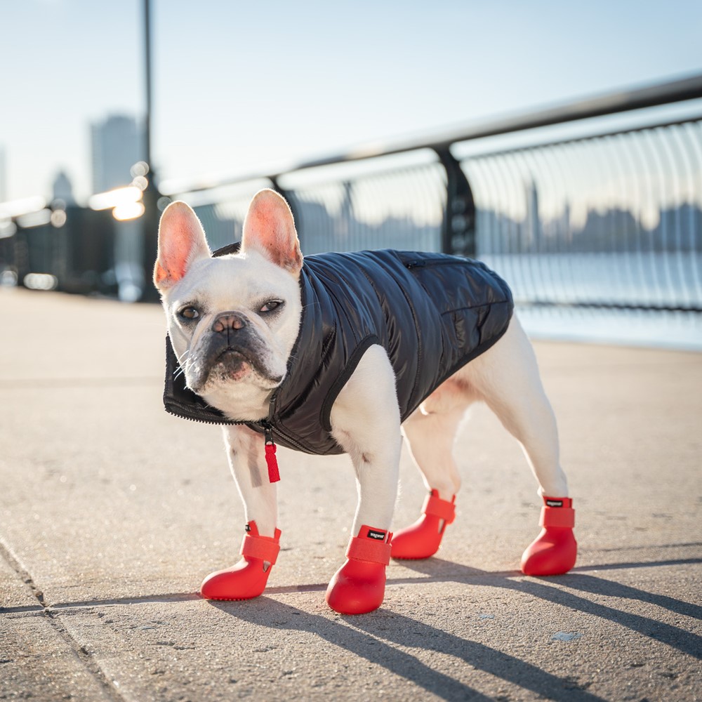 楽天市場】《3,980円以上で送料無料》ワグウェア ワグウェリーズ BY