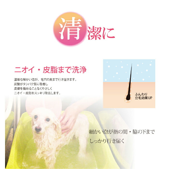 楽天市場】ゾイック 炭酸泉EX 24袋セット おまけ2袋つき | 2包式の