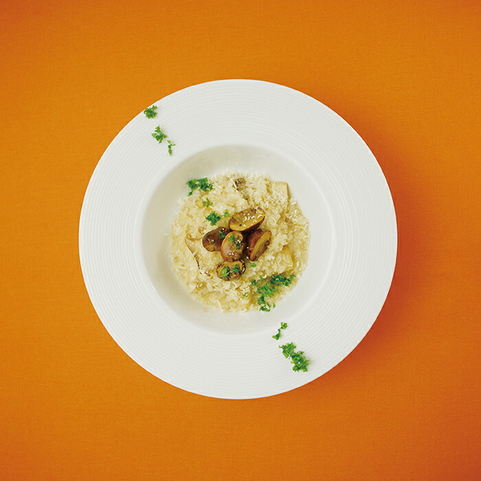 楽天市場】【公式店】【日本製】パスタ皿（M） 盛り付けただけで