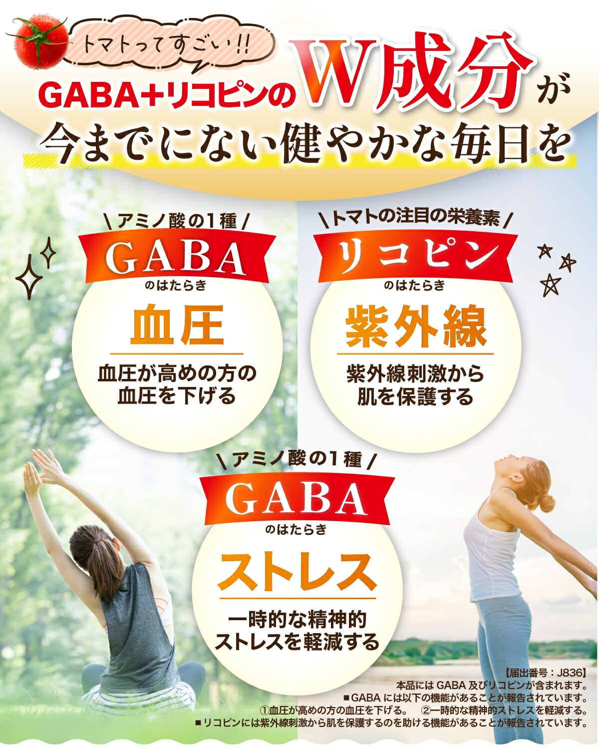 楽天市場】＼2/10限定！ポイント10倍／【伊藤園 健康体 公式通販