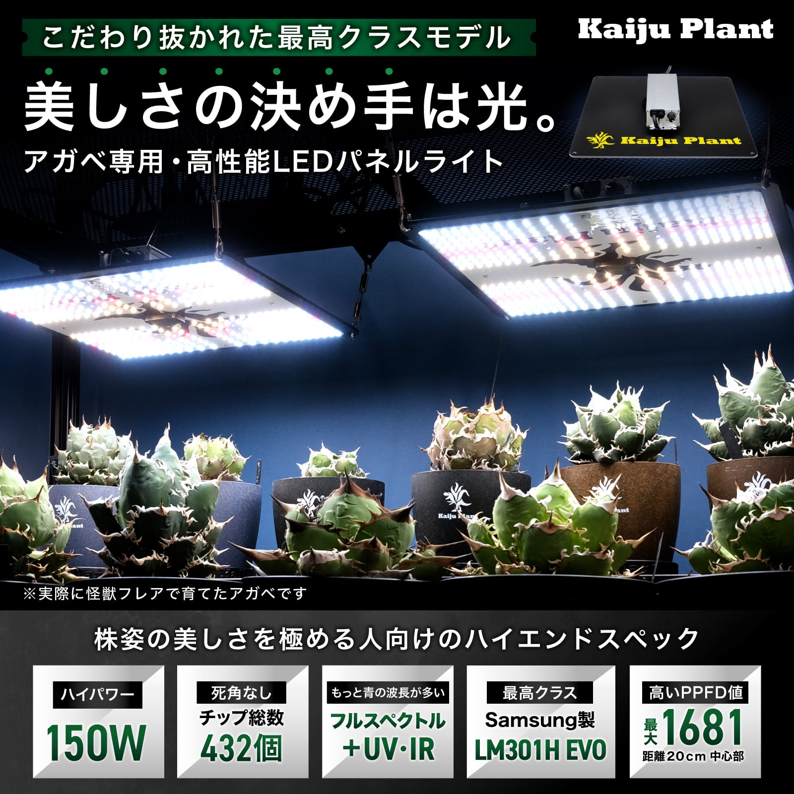 楽天市場】Kaiju Plant 植物育成ライト 怪獣フレア evo まるで太陽の