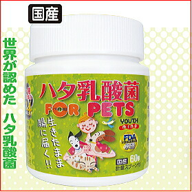 楽天市場】ハタ乳酸菌 for pets ペット用 送料無料 犬 猫 動物用